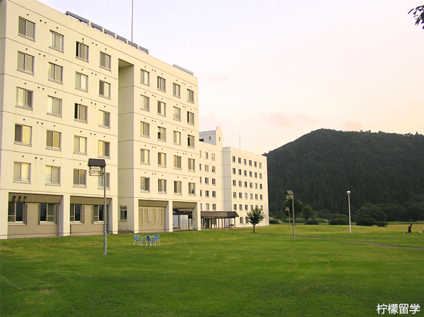 日本国际大学