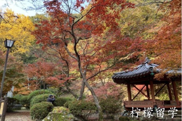 日本留学,日本山口大学,大专生申请日本大学研究生,山口大学本科申请,山口大学研究生申请,山口大学硕博申请,日本研究生申请,