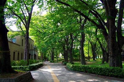 日本留学,赴日留学,东京大学,东京大学校园,