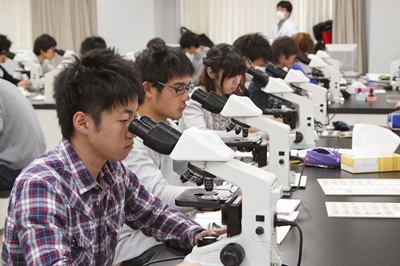 日本留学,赴日读研,赴日读博,北海道大学医理工学硕博课程申请,