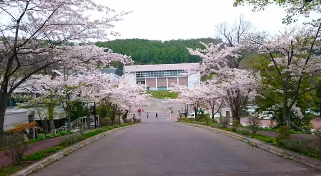 日本留学,赴日读研,日本留学花费,日本留学费用,