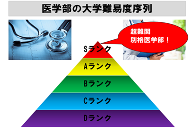 日本留学,日本大学医学部,日本大学医学部排名,日本大学推荐,