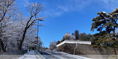 日本留学,赴日读研,2025年10月东北大学经济学学部研究生,日本研究生申请,