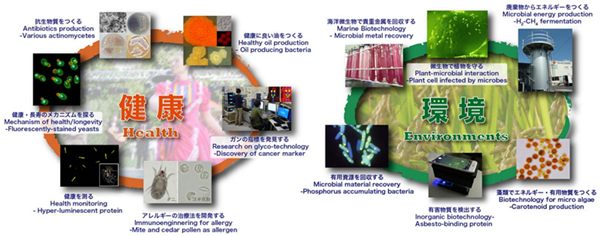 日本留学,赴日读研,日本大学SGU,筑波大学SGU英文授课,筑波大学SGU英文授课修士课程,