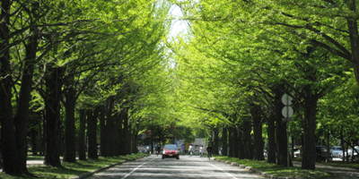 日本留学,北海道大学英文授课,北海道大学英文授课硕博课程,