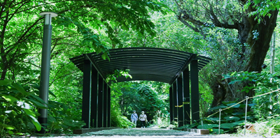 日本留学,北海道大学英文授课,北海道大学英文授课硕博课程,