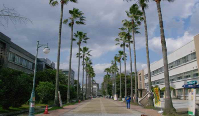日本留学,赴日读研,日本大学SGU,鹿儿岛大学SGU英文授课,鹿儿岛大学英文授课建筑学硕士课程, 日本留学,赴日读研,日本大学SGU,鹿儿岛大学SGU英文授课,鹿儿岛大学英文授课建筑学硕士课程,