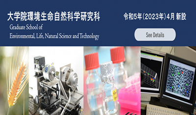日本留学,冈山大学环境生命自然科学硕博课程,外国人留学生海外特别入试,